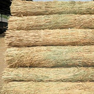 草簾子 ，草包 草繩上海地區(qū)降溫，雨雪天氣注意植物防寒抗凍，