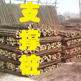 杉木樁|杉木綠化桿，上海1.5米/2米/3米杉木樁