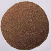 草坪夏季草交播狗牙根，矮生百慕大季節(jié)來臨，提前預備種子