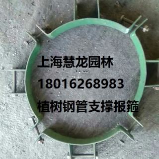 大樹報箍，植樹支撐報箍，鋼支撐報箍